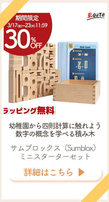 サムブロックスミニ