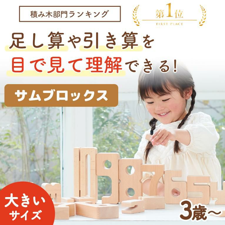 遊びながら数字が学べる積み木 知育玩具 日本語ガイド付き (サム