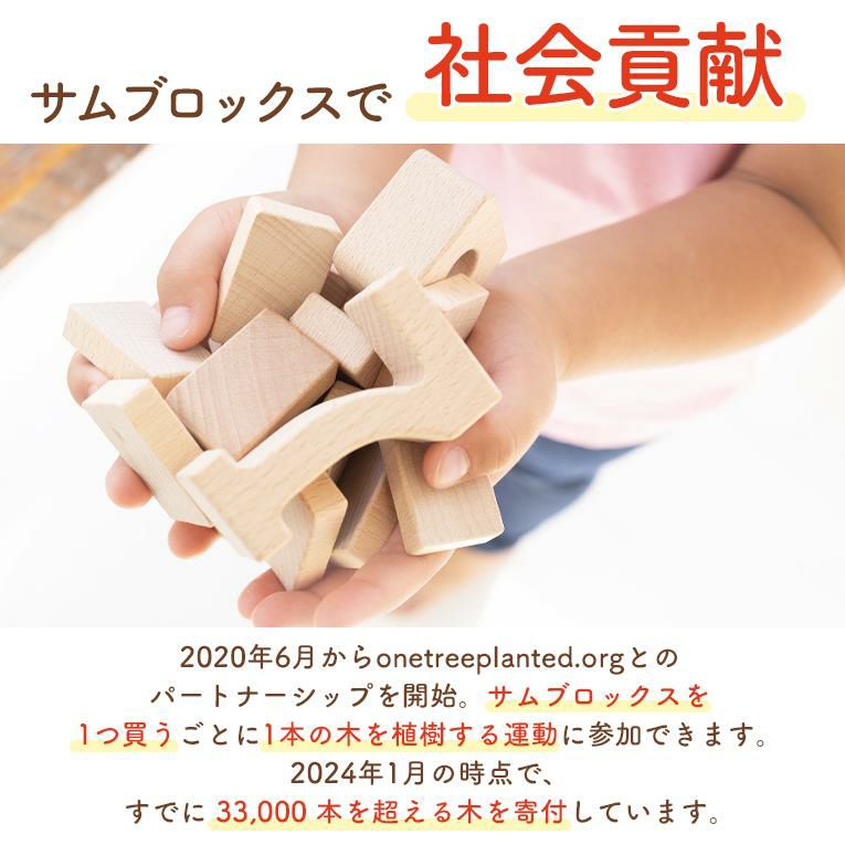 Amazon | Edutē エデュテ サムブロックス スターターセット お