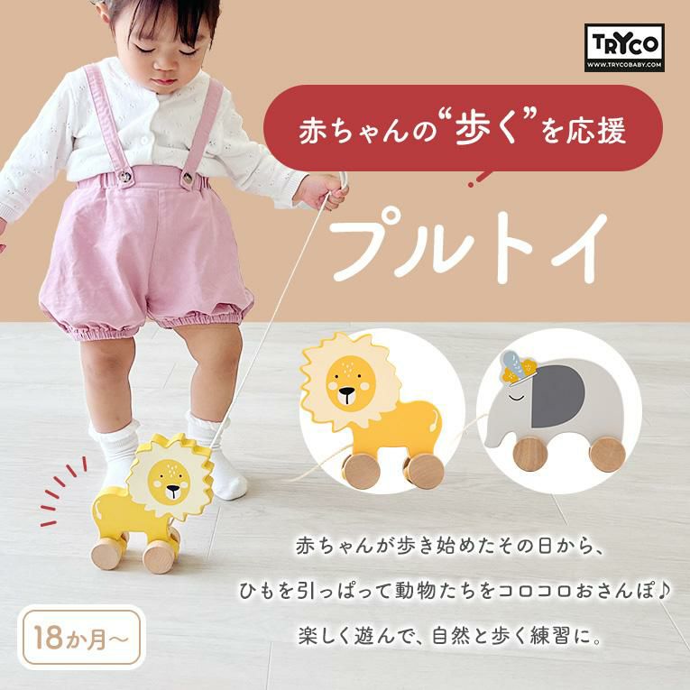 プルトイ